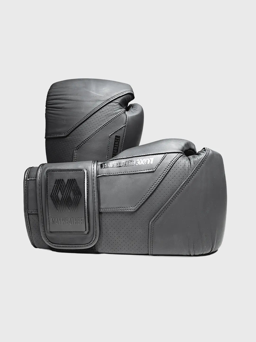 LTE Luxe Boxing Gloves