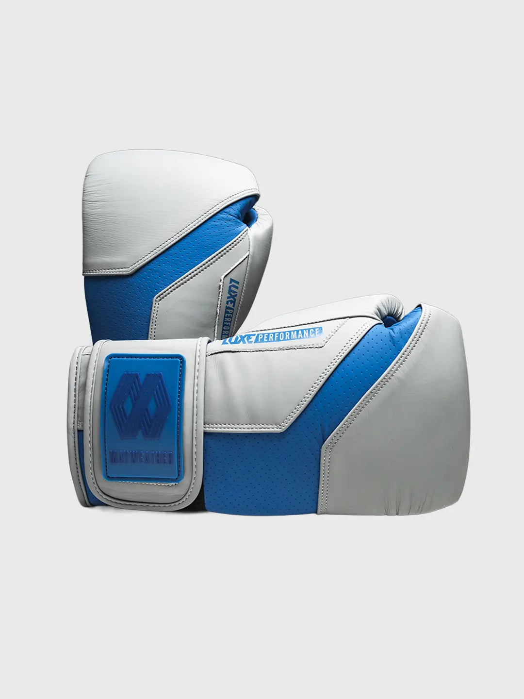 LTE Luxe Boxing Gloves