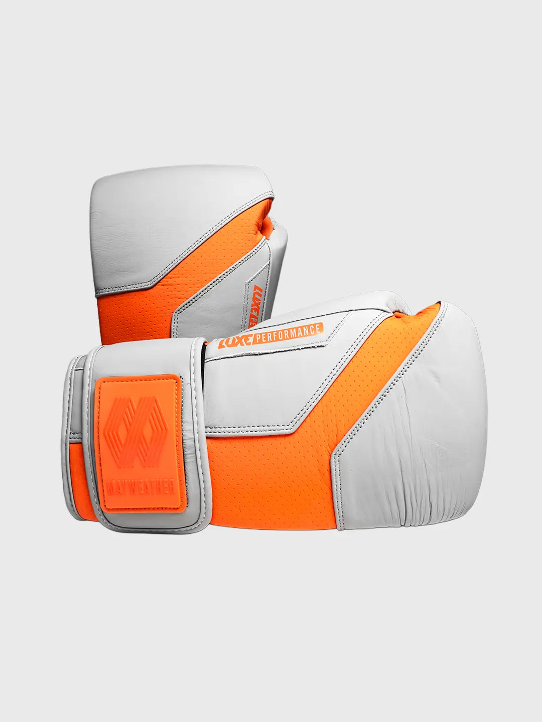 LTE Luxe Boxing Gloves