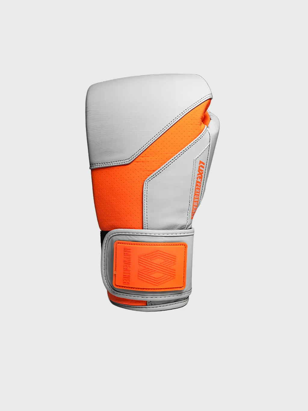 LTE Luxe Boxing Gloves