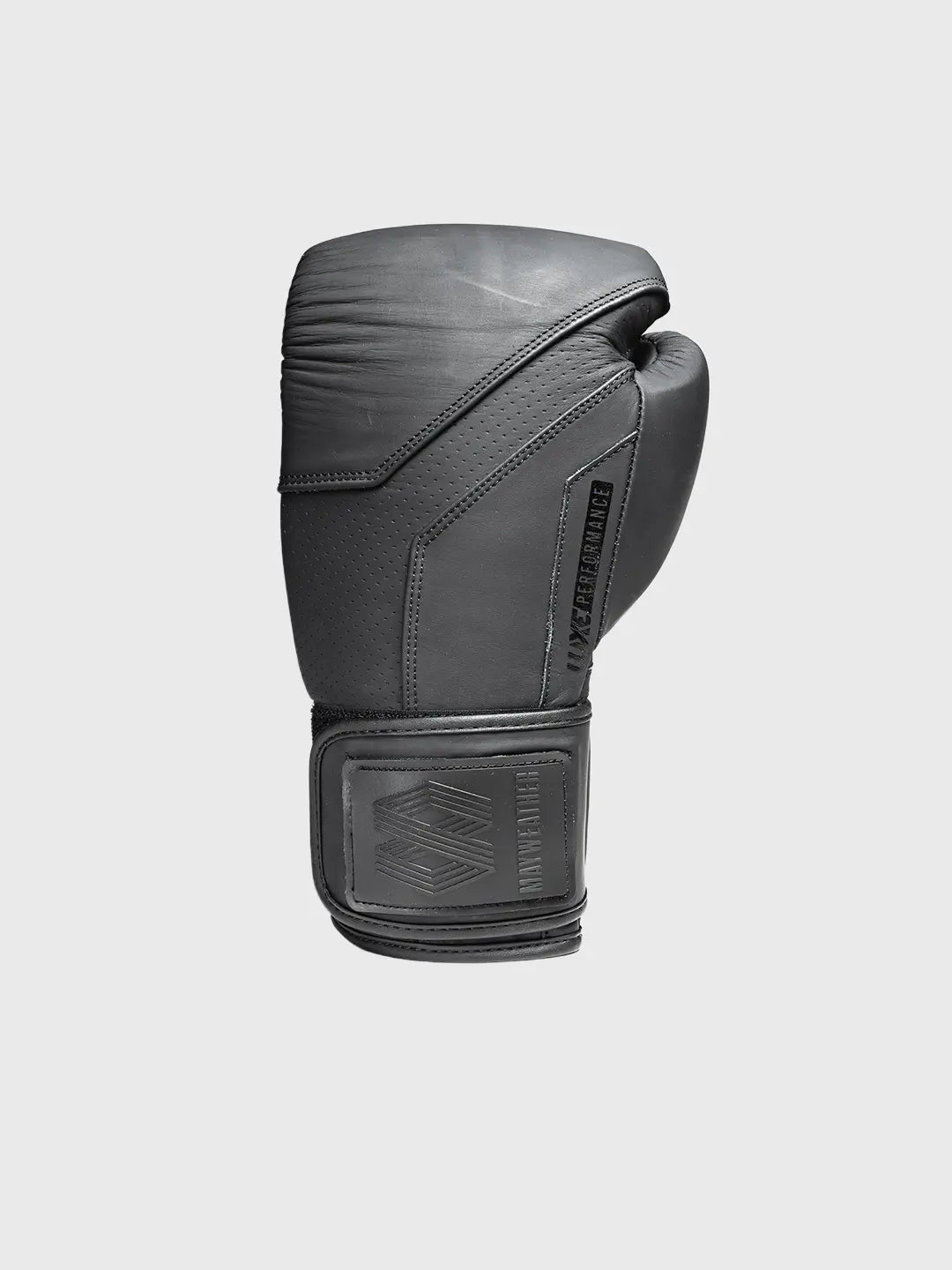 LTE Luxe Boxing Gloves