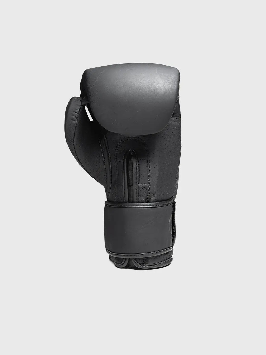 LTE Luxe Boxing Gloves
