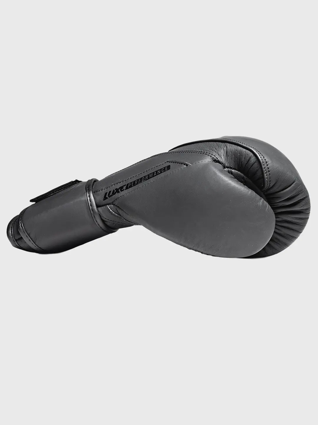 LTE Luxe Boxing Gloves