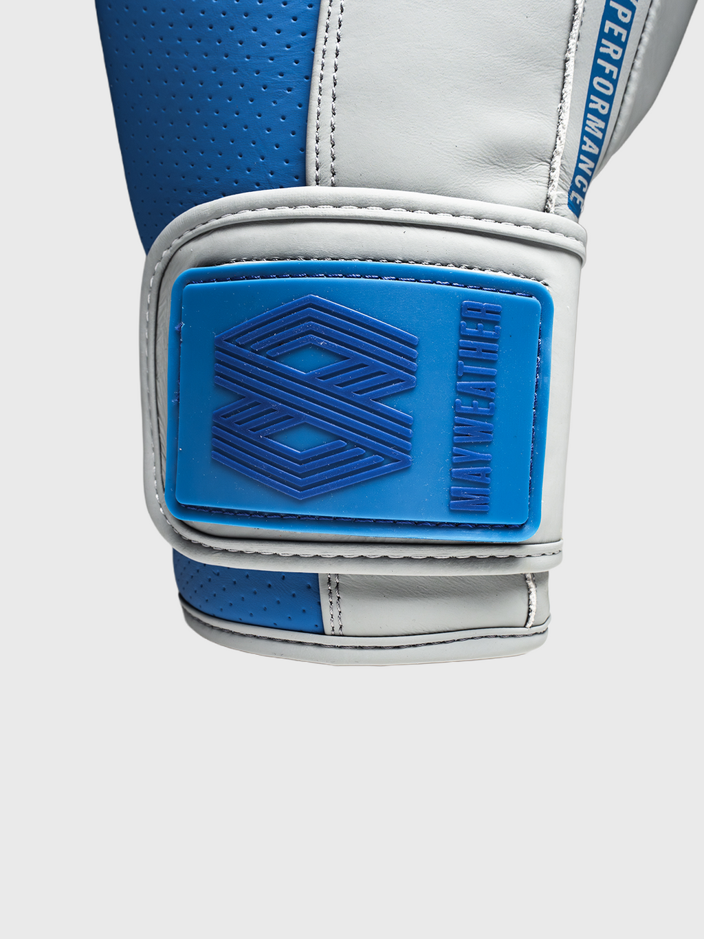 LTE Luxe Boxing Gloves