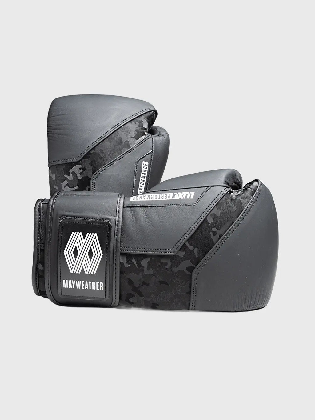 LTE Luxe Boxing Gloves